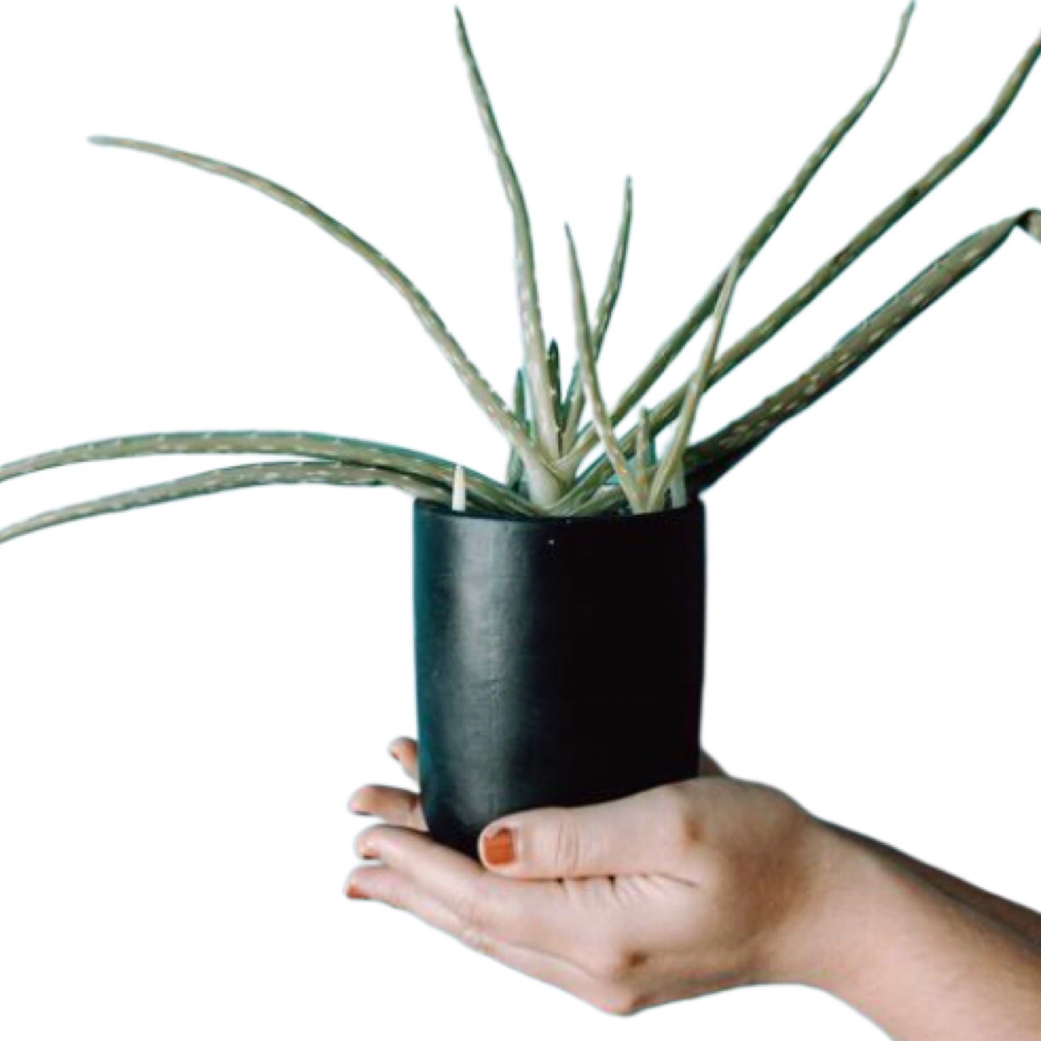 Hydrating Facial Moisturizer